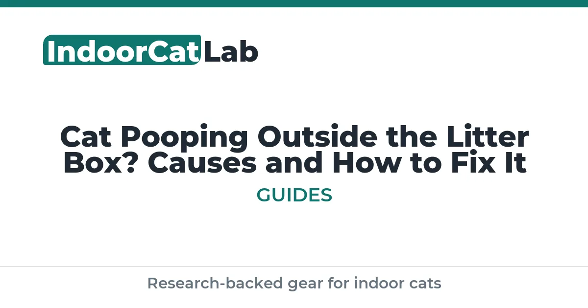 Cat Pooping Outside the Litter Box? Causes and How to Fix It
