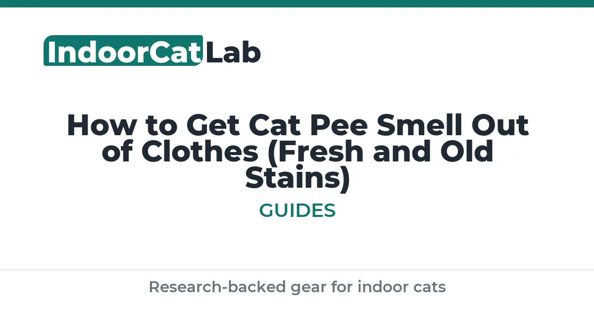How to Get Cat Pee Smell Out of Clothes (Fresh and Old Stains)