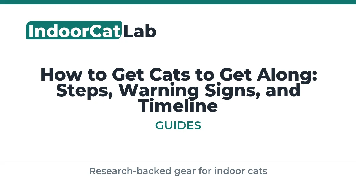 How to Get Cats to Get Along: Steps, Warning Signs, and Timeline